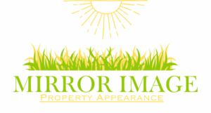 Mirror Image Property